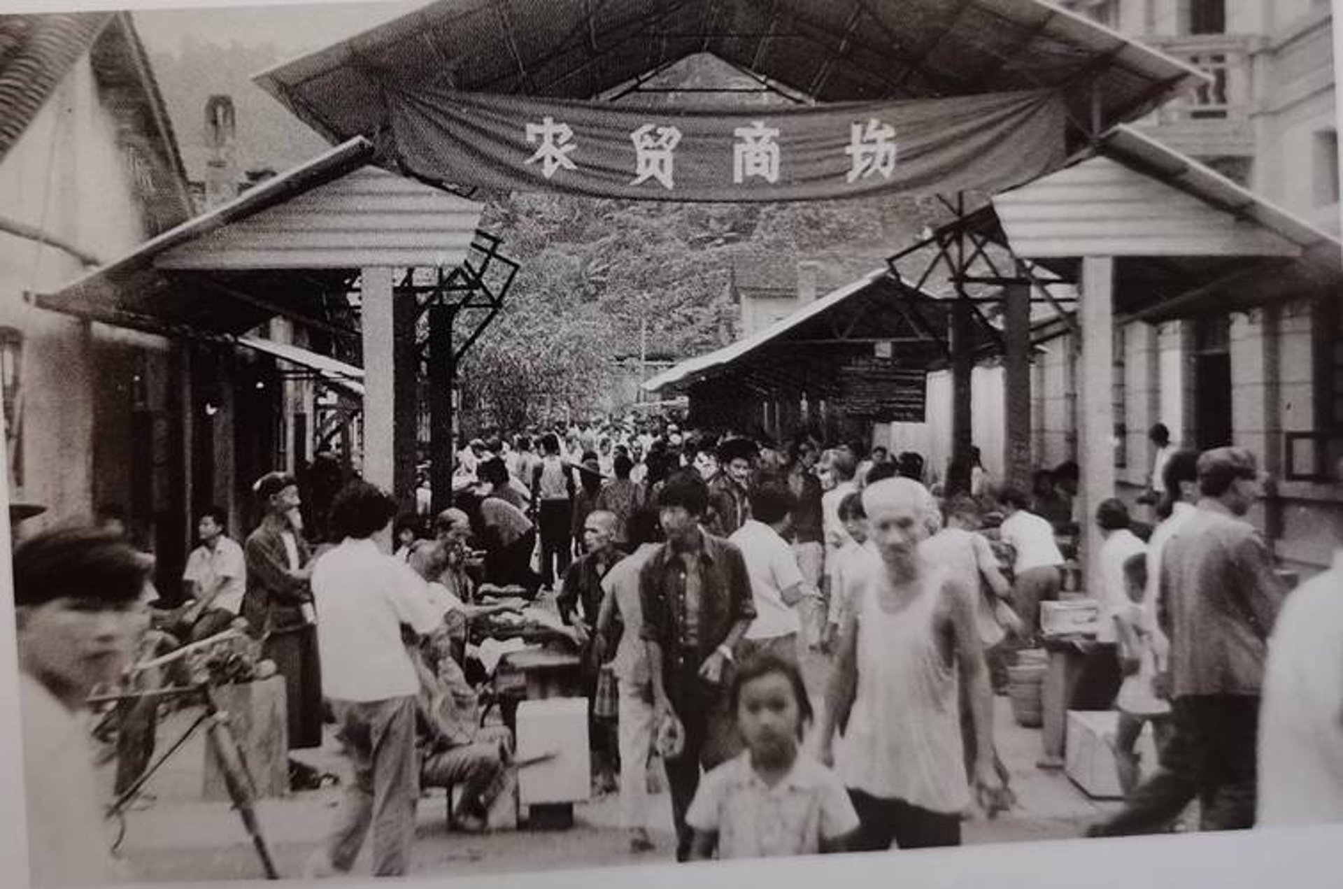 带达商贸